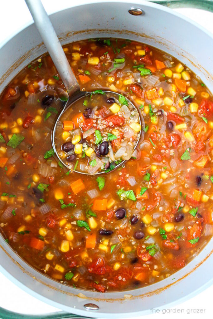 Black Bean Quinoa Soup (Easy!) - The Garden Grazer