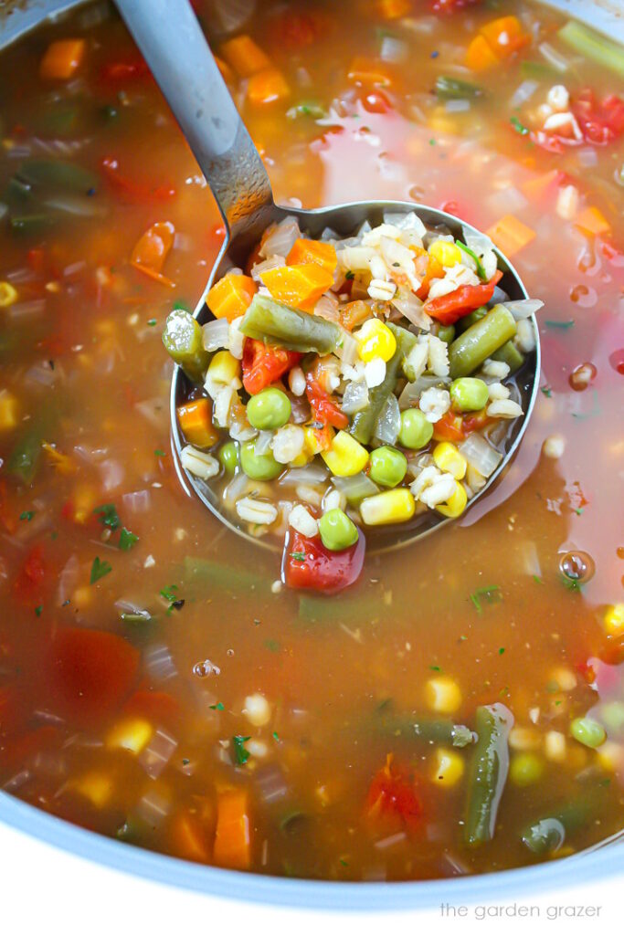 Vegetable Barley Soup (Easy, Vegan!) - The Garden Grazer