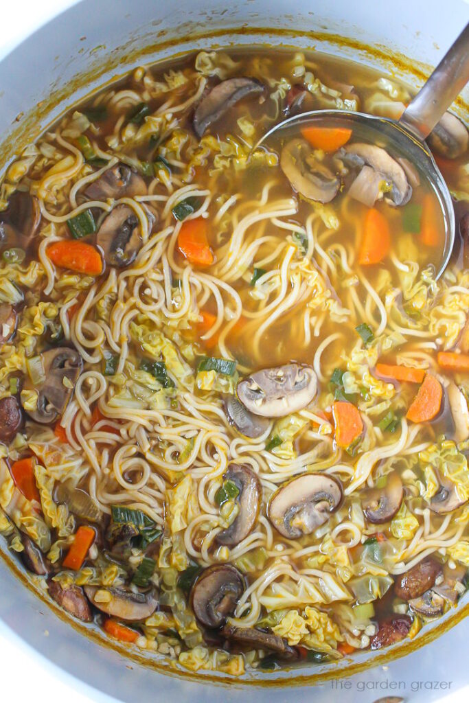 Asian Noodle Soup (Easy + Vegan!) - The Garden Grazer