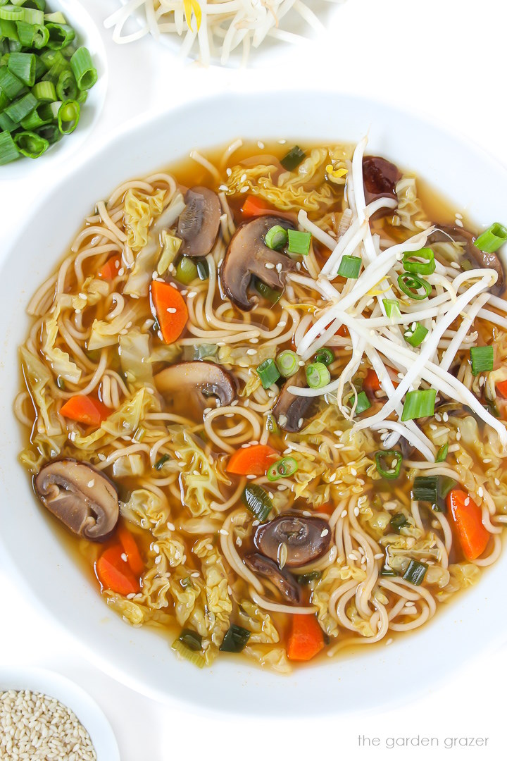 https://www.thegardengrazer.com/wp-content/uploads/2015/04/vegan-asian-noodle-soup-75-1.jpg