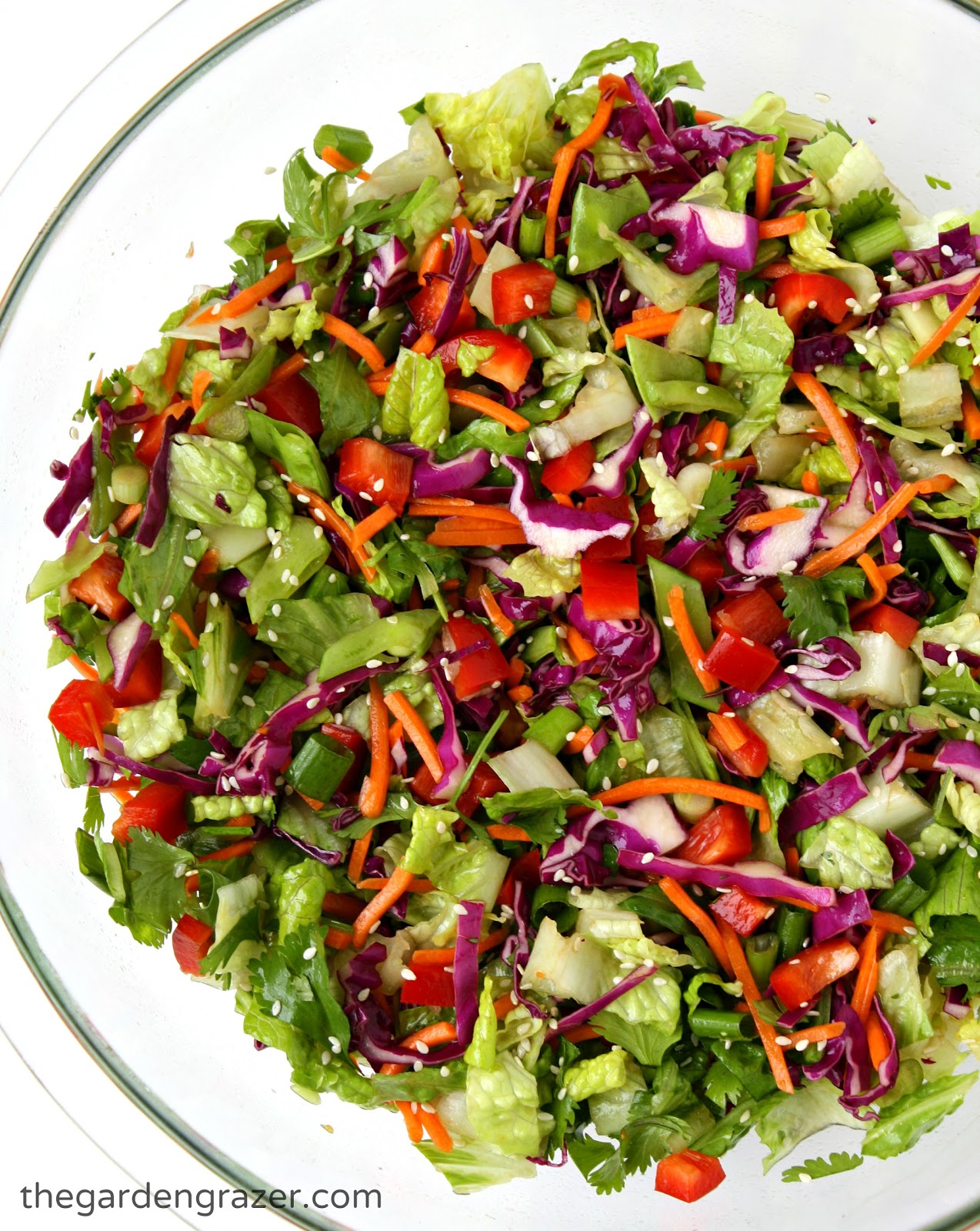 Asian Chopped Salad with Sesame Vinaigrette | The Garden Grazer