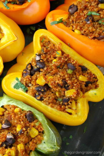 Mexican Quinoa Stuffed Peppers (Easy!) - The Garden Grazer