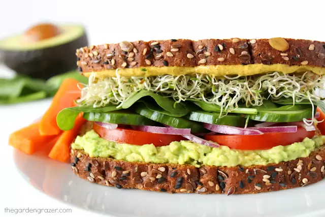 Avocado sandwich op een bord met tomaat, spinazie, spruitjes, en ui