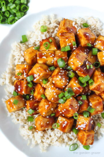 Teriyaki Baked Tofu (Easy + Oil-Free!) - The Garden Grazer