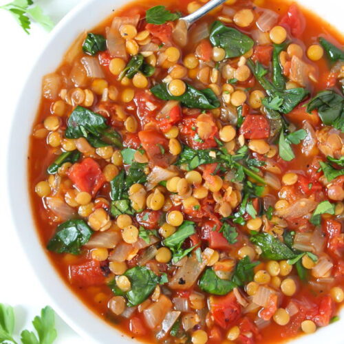 Smoky Tomato Lentil Soup (Easy!) - The Garden Grazer