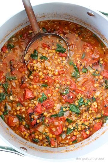 Smoky Tomato Lentil Soup (Easy!) - The Garden Grazer