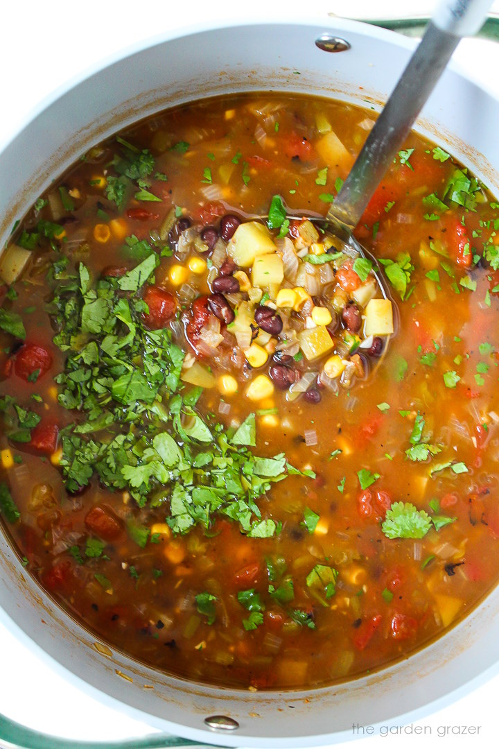 Southwest Black Bean Soup (Easy!) (Easy!) - The Garden Grazer