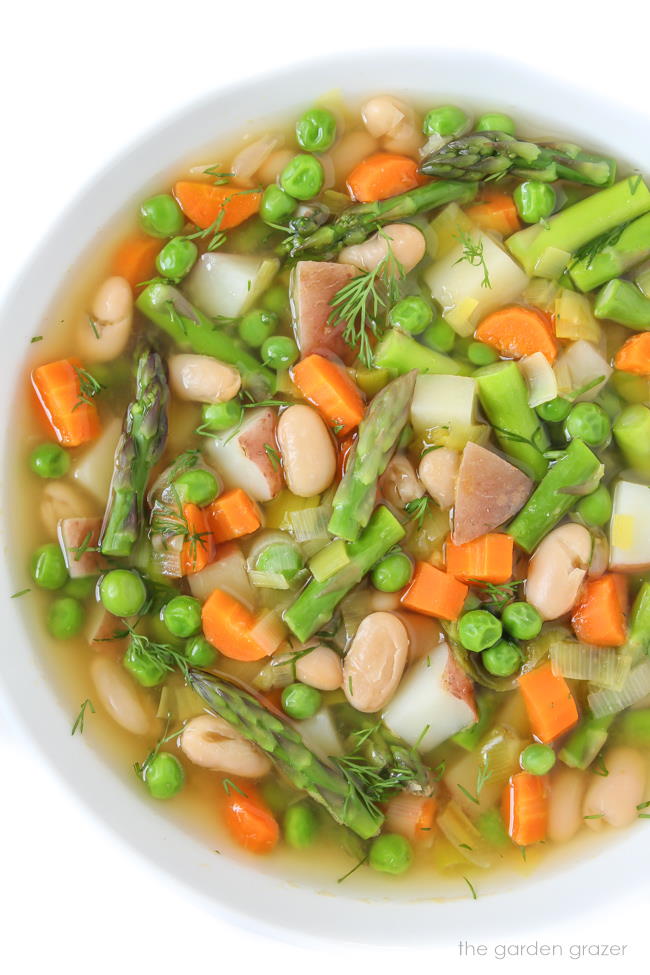 Garden Fresh Minestrone Soup Recipe