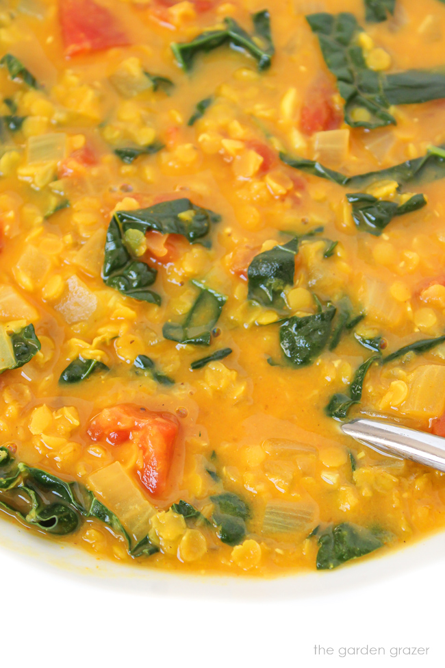 Vegan Coconut Curry Lentil Soup (Easy!) | The Garden Grazer