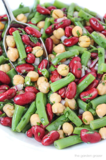 Three Bean Salad with Vinegar Dressing (Oil-Free!) - The Garden Grazer