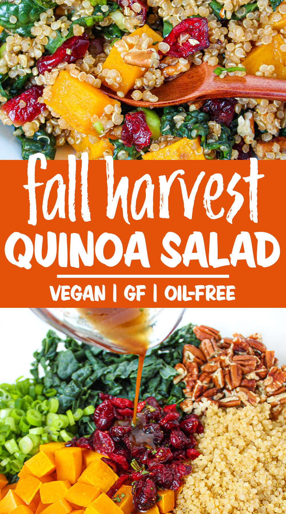 Fall Harvest Quinoa Salad (Vegan!) - The Garden Grazer
